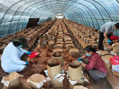 喜迎二十大 电子产品销售行业的新机遇与未来展望