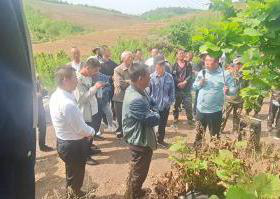 辽阳市林草局举办大果榛子实用技术培训班 助力林业产品销售与产业升级