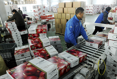 打通产销“最后一公里” 国家林草局多措并举破解林产品销售难题