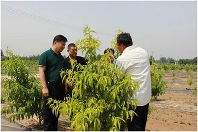 东营市河口区 党建引领促产业 乡村振兴奔富路——电子产品销售的创新实践