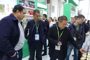 塔河县携特色电子产品亮相黑龙江绿博会与大米节，助力产业融合发展