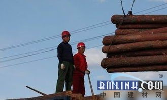 跨界突围 黑龙江林业局以电子产品销售开辟木材市场新路径