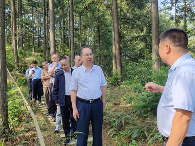科技赋能，生态富民 福建省林业局领导赴福州、宁德调研林下经济与电子产品销售新模式